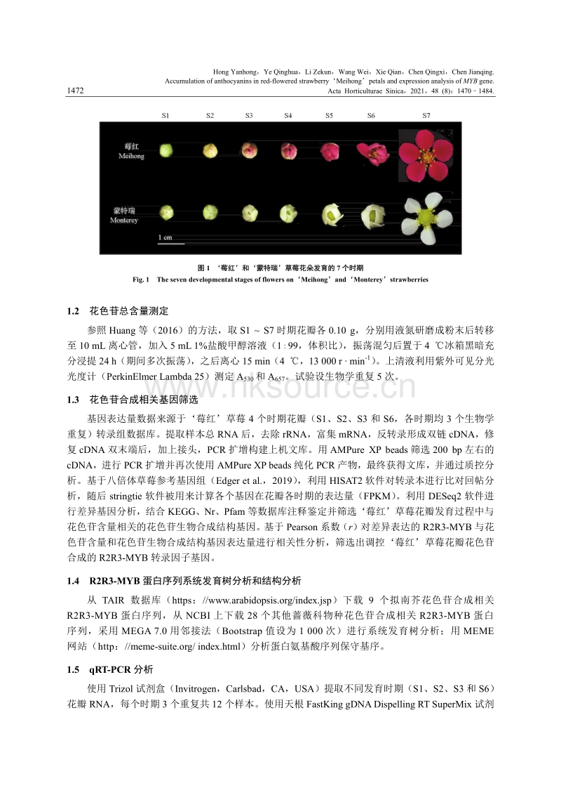 红花草莓''莓红''花瓣花色苷积累及其MYB基因的表达分析.pdf_第3页