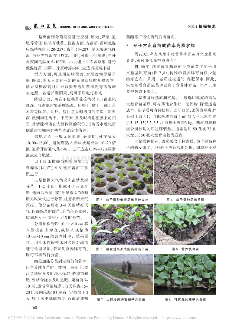 益阳市茄子品种选用和育苗常见问题解析.pdf_第3页