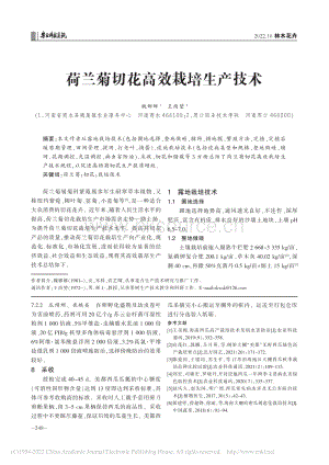 荷兰菊切花高效栽培生产技术.pdf