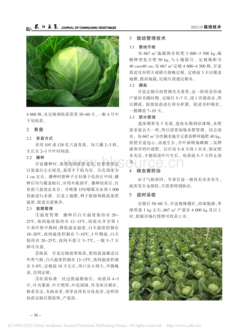 早春茬塑料大棚津甘8号甘蓝栽培技术.pdf_第2页