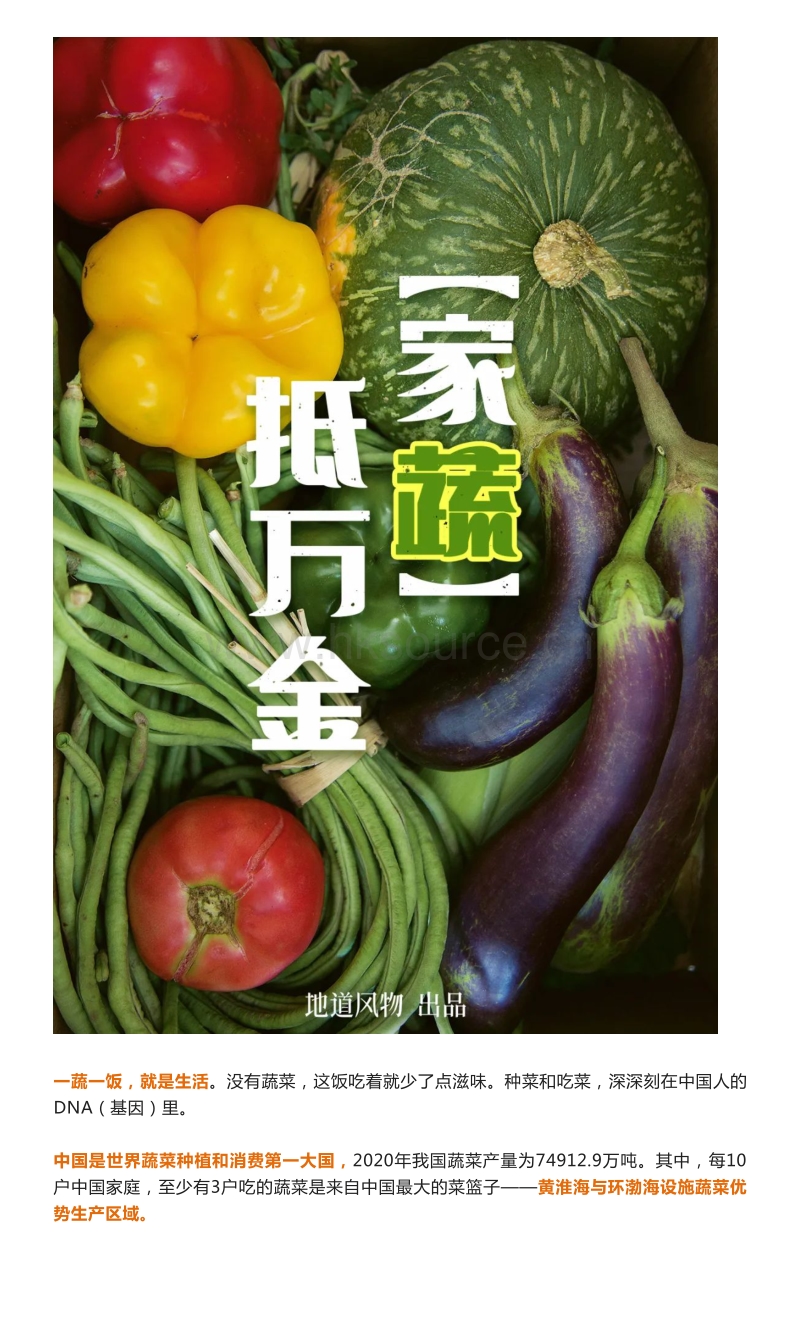 为了实现你的“囤菜大业”中国蔬菜大省们到底有多猛？.pdf_第2页