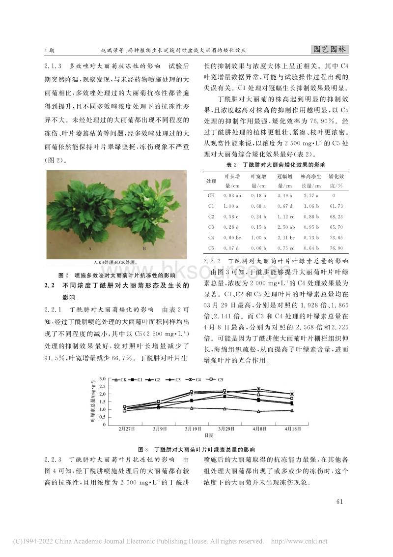 两种植物生长延缓剂对盆栽大丽菊的矮化效应.pdf_第3页