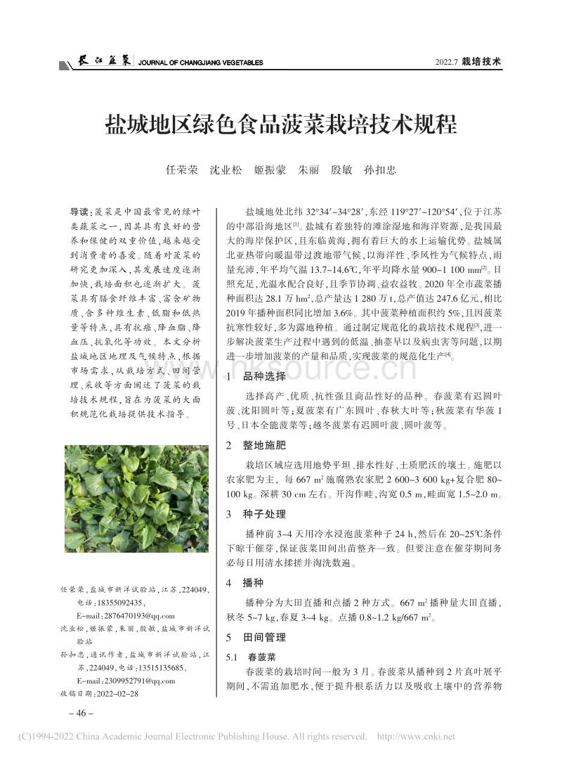盐城地区绿色食品菠菜栽培技术规程.pdf_第1页
