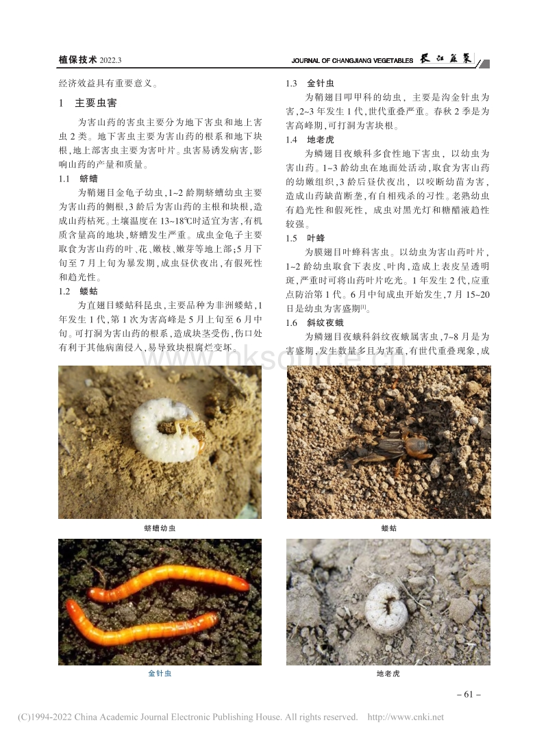 山东省山药主要病虫害绿色防控技术.pdf_第2页