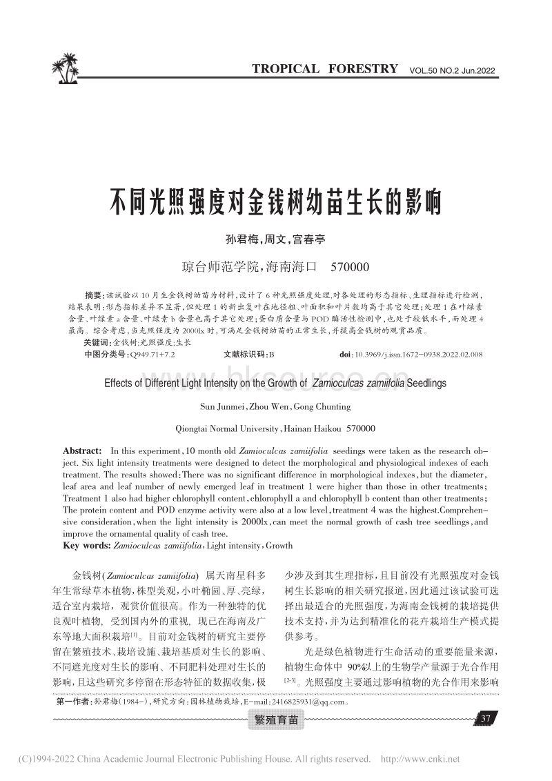 不同光照强度对金钱树幼苗生长的影响.pdf_第1页