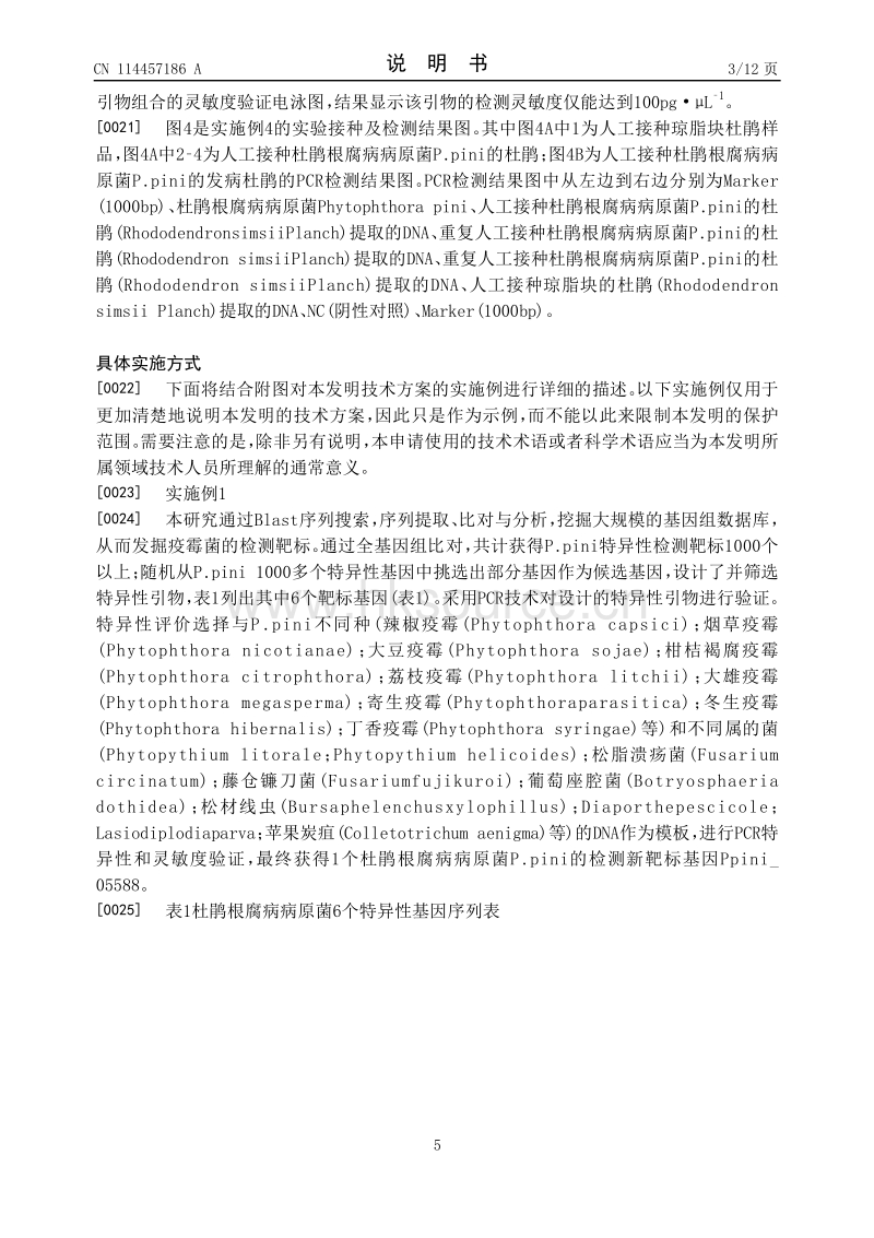 专利：杜鹃根腐病病原菌的特异性检测靶标Ppini_05588及应用.pdf_第5页