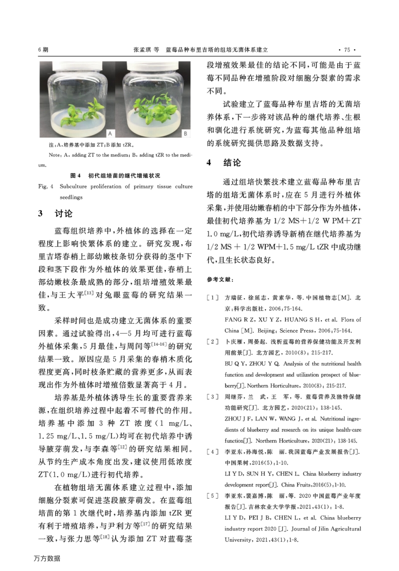 蓝莓品种布里吉塔的组培无菌体系建立.pdf_第5页