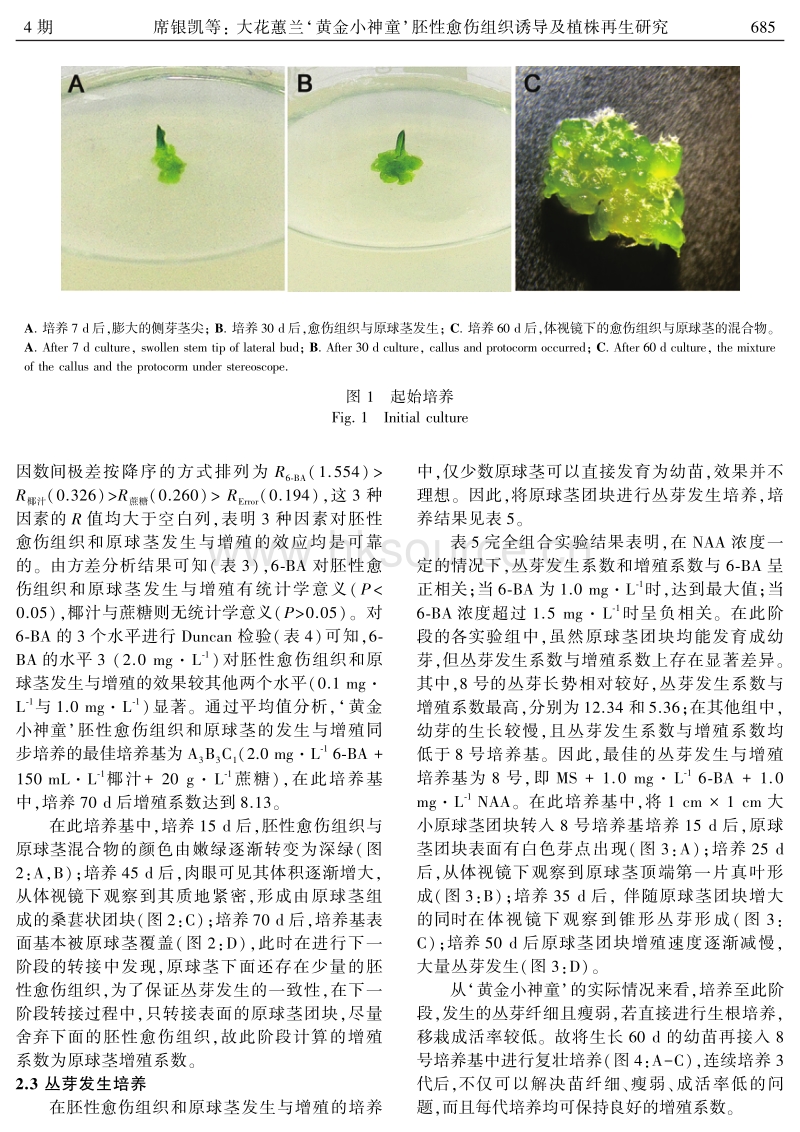 大花蕙兰'黄金小神童'胚性愈伤组织诱导及植株再生研究.pdf_第4页