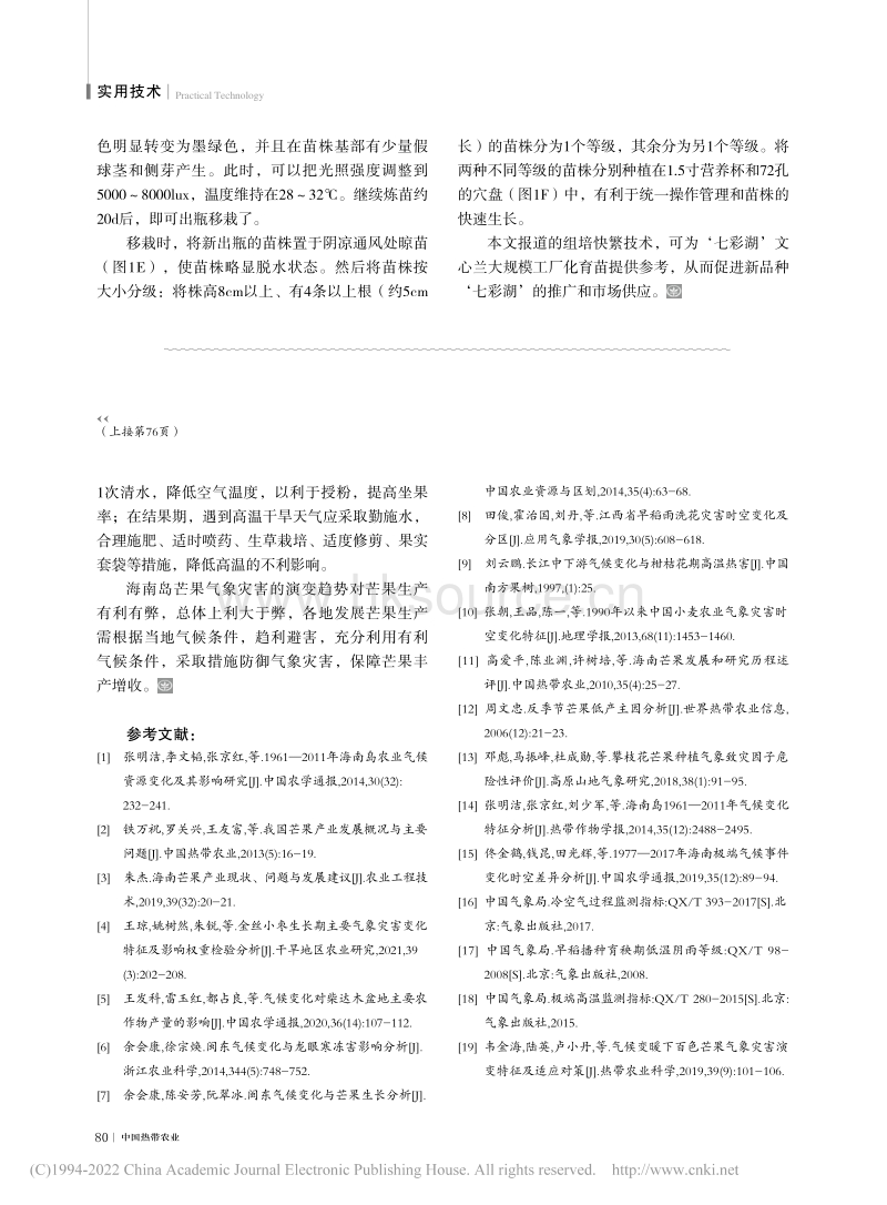 文心兰新品种‘七彩湖’大规模组培快繁技术.pdf_第4页