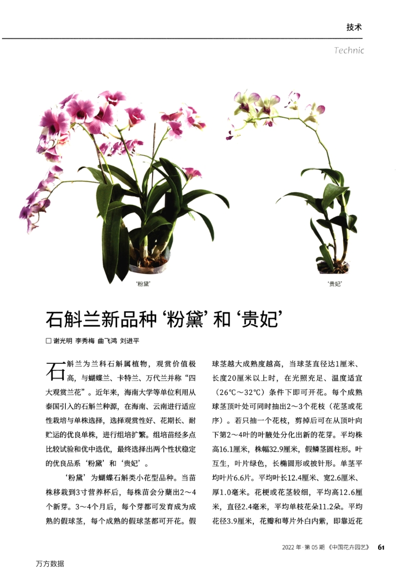 石斛兰新品种‘粉黛’和‘贵妃’.pdf_第1页