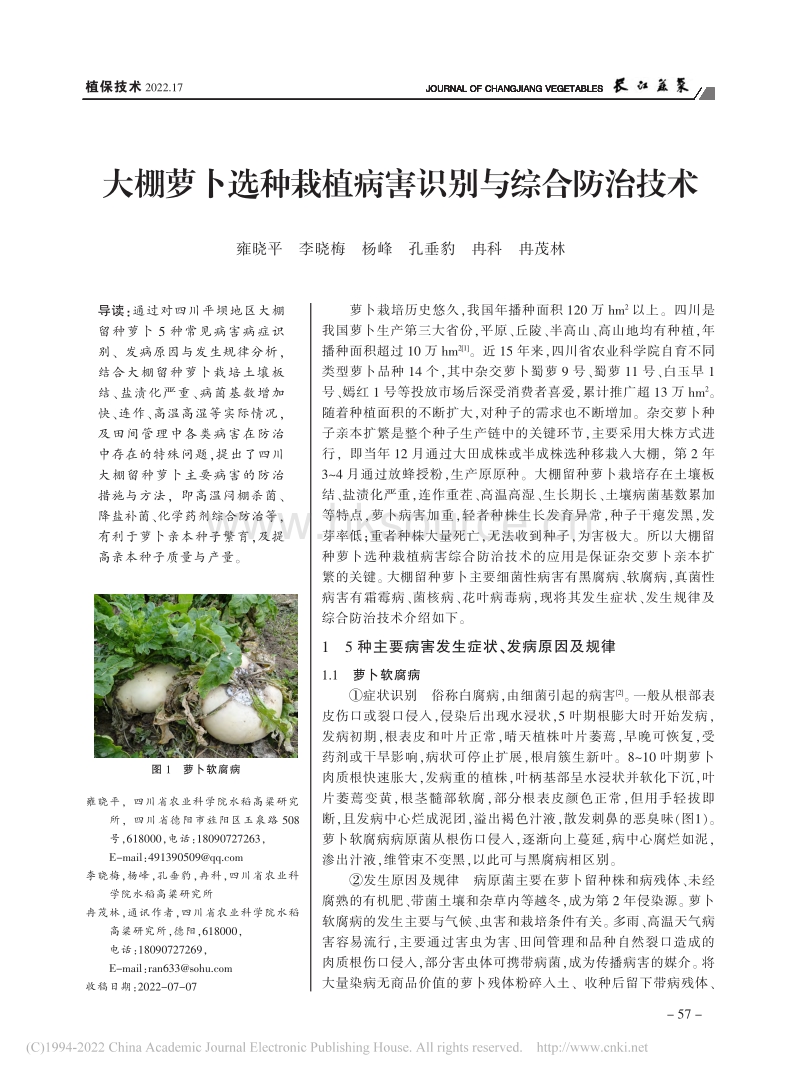 大棚萝卜选种栽植病害识别与综合防治技术.pdf_第1页