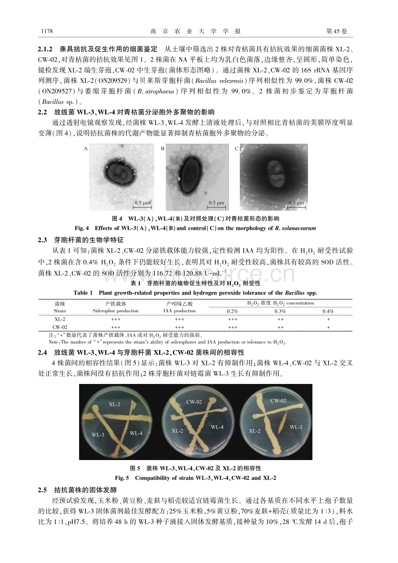 复合微生物菌剂对番茄青枯病的生防效应.pdf_第5页