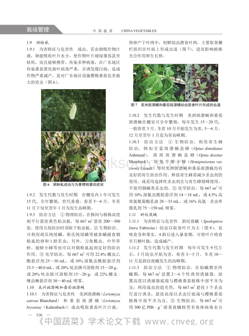 广东设施樱桃番茄主要病虫害及综合防控技术.pdf_第4页