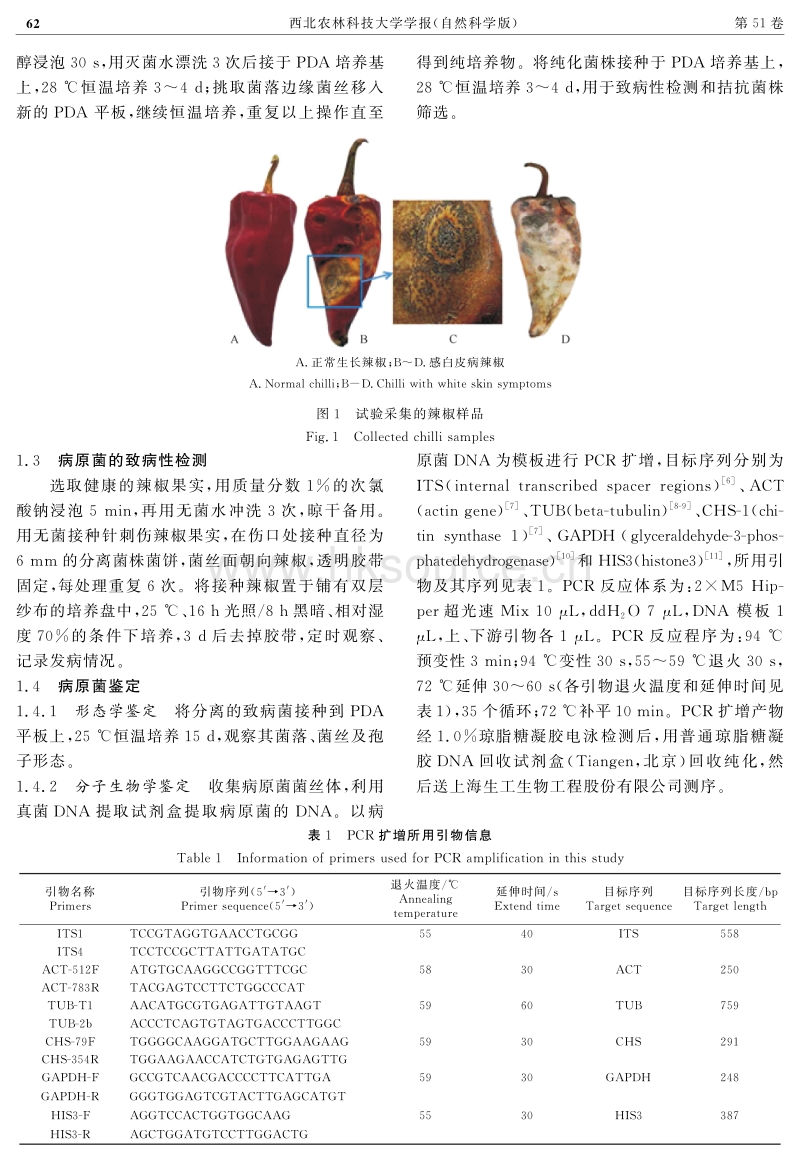 吉林白城与内蒙古开鲁辣椒白皮病病原鉴定及生防菌筛选.pdf_第3页