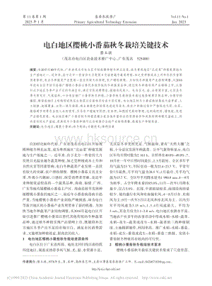 电白地区樱桃小番茄秋冬栽培关键技术.pdf