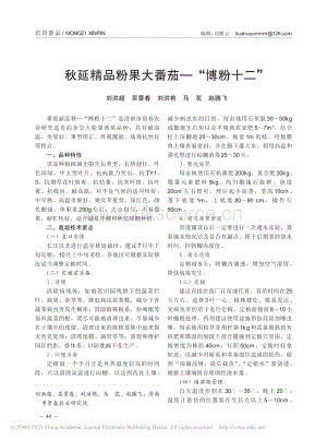 秋延精品粉果大番茄——“博粉十二”.pdf