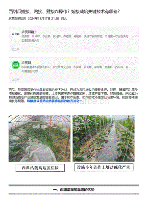 西甜瓜插接、贴接、劈接咋操作？嫁接栽培关键技术有哪些？.pdf