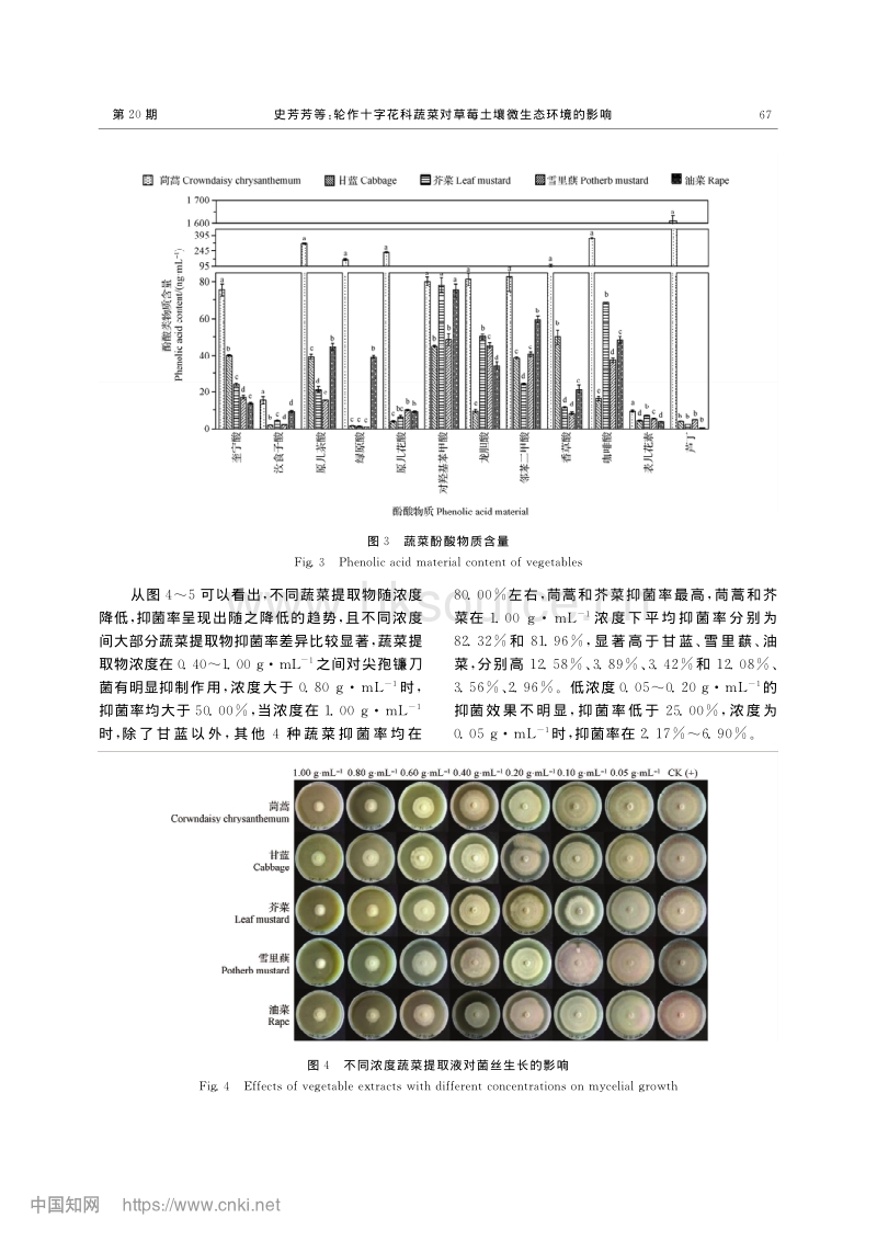 轮作十字花科蔬菜对草莓土壤微生态环境的影响.pdf_第5页