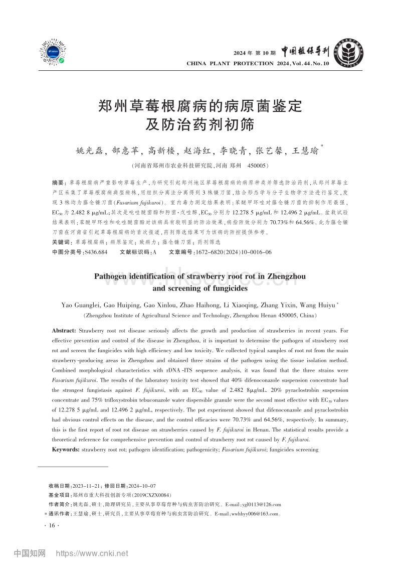 郑州草莓根腐病的病原菌鉴定及防治药剂初筛.pdf_第1页