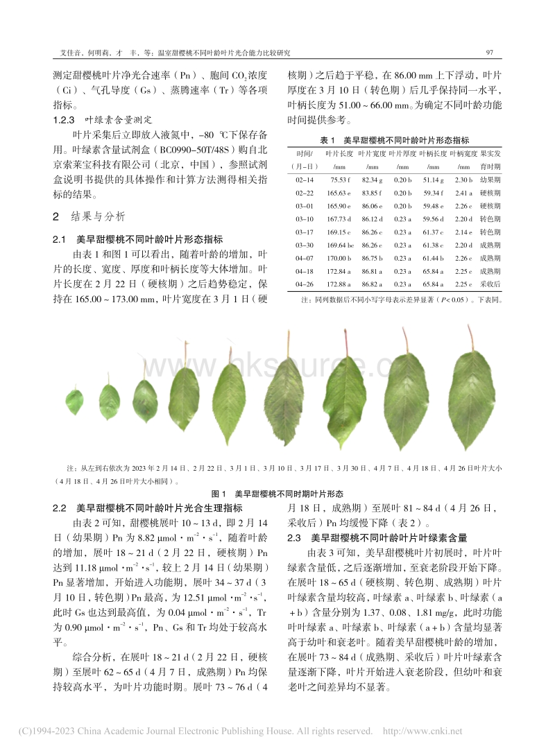 温室甜樱桃不同叶龄叶片光合能力比较研究.pdf_第2页