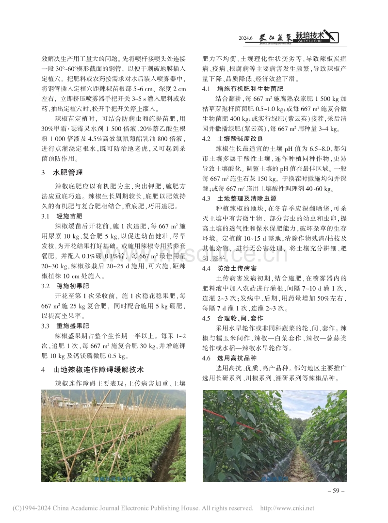 都匀地区辣椒轻简化绿色高效栽培技术.pdf_第3页