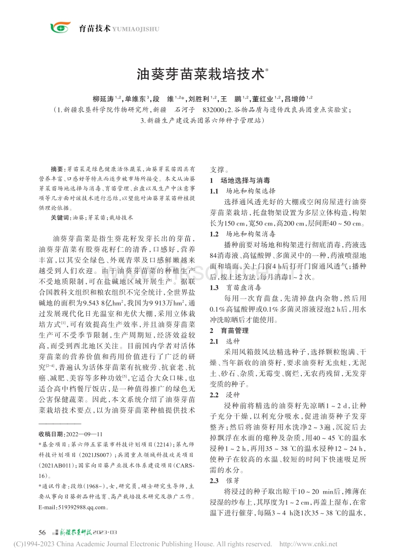 油葵芽苗菜栽培技术.pdf_第1页
