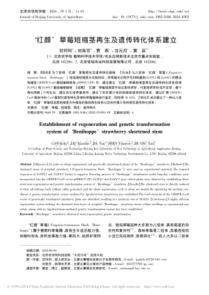 ‘红颜’草莓短缩茎再生及遗传转化体系建立_甘珂珂.pdf
