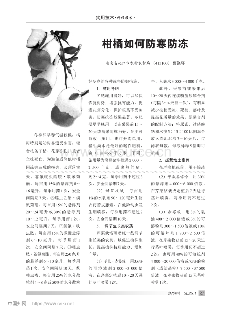 大棚芹菜主要病虫症状及安全用药.pdf_第3页