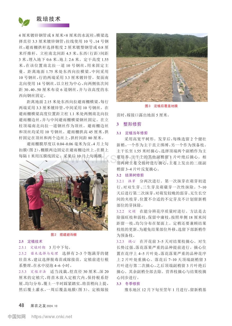 河南葡萄避雨栽培全产业链生产技术.pdf_第2页