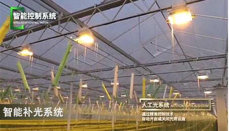 智能控制系统.jpg
